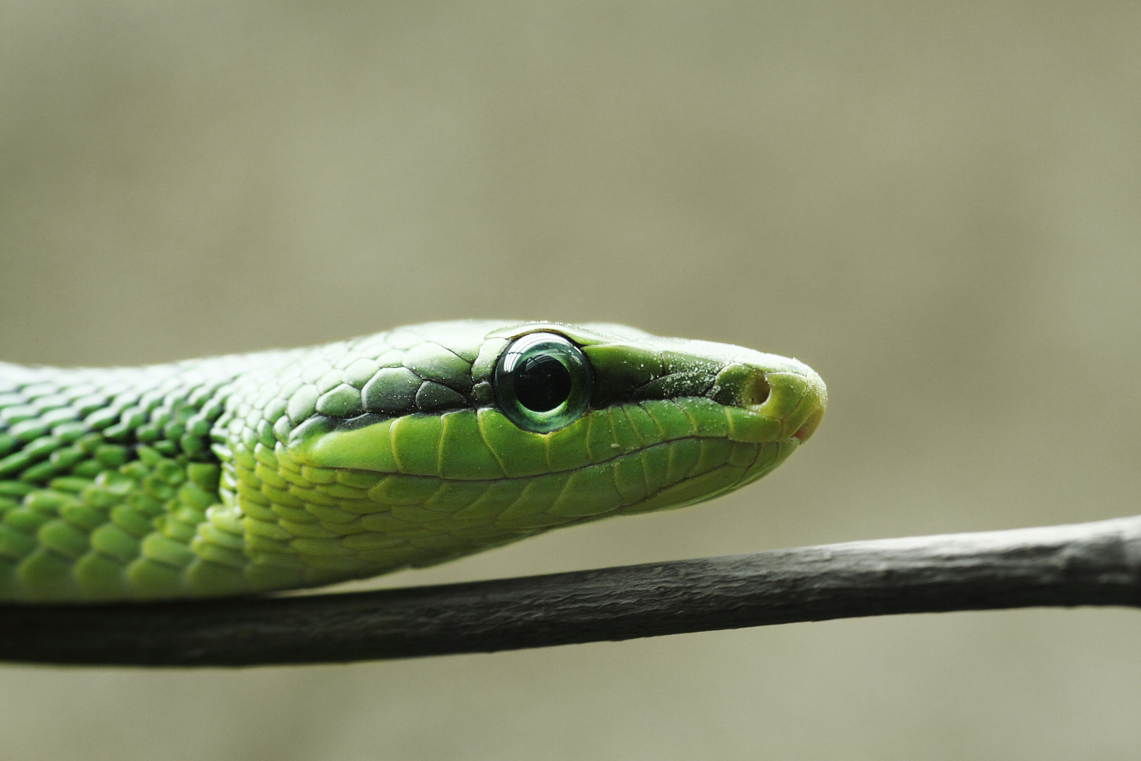 Tierpark Berlin 2