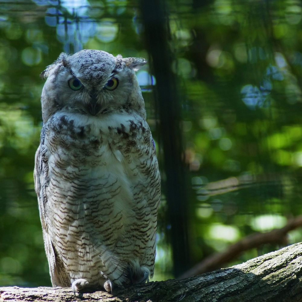 Tierpark Berlin 2015