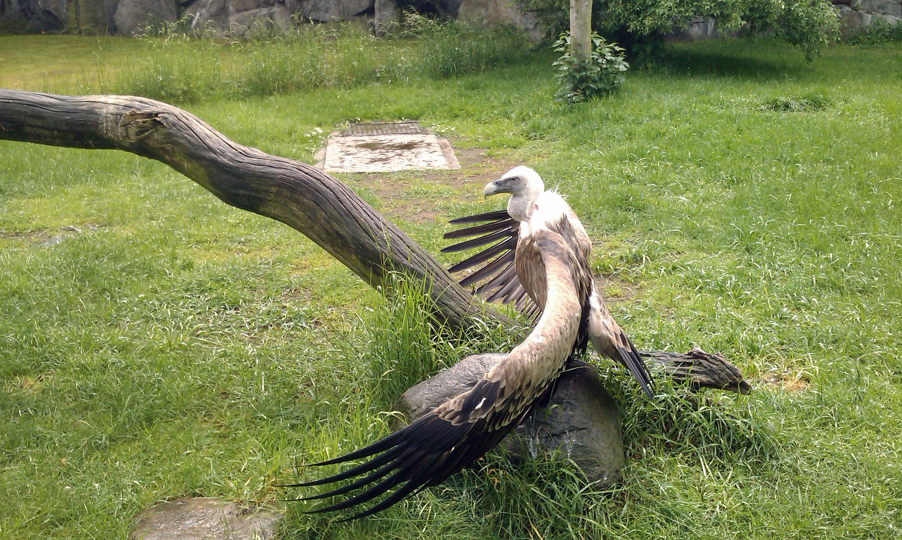 Tierpark Berlin