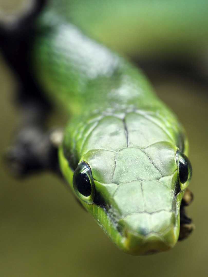 Tierpark Berlin 3