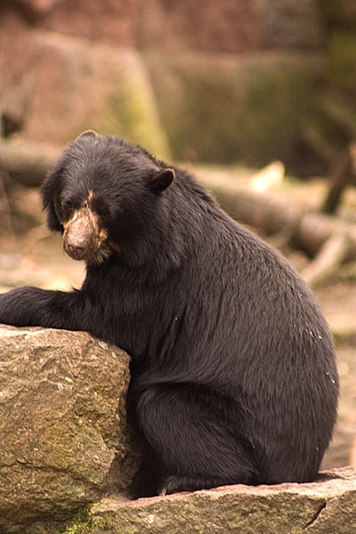 Tierpark Berlin