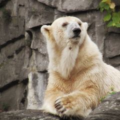 Tierpark Berlin