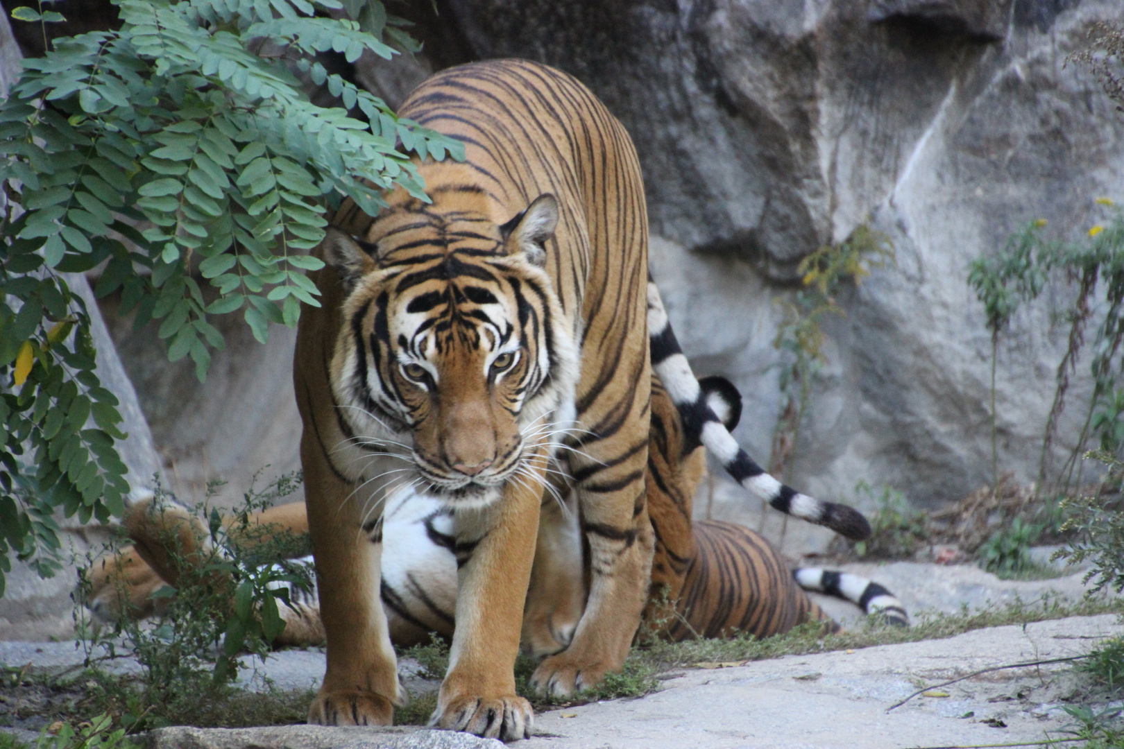 Tierpark Berlin