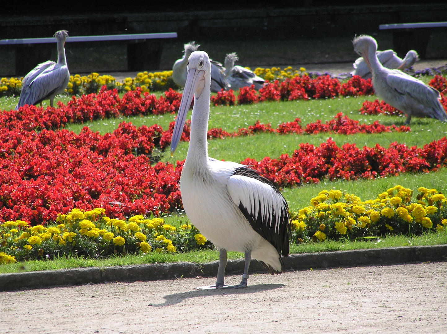 Tierpark Berlin