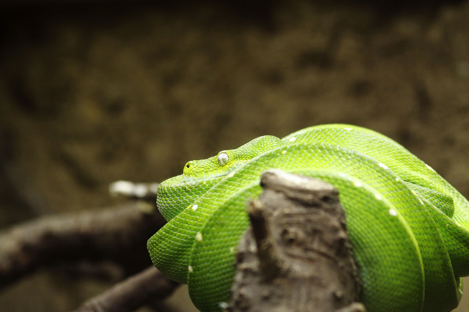 Tierpark Berlin 5