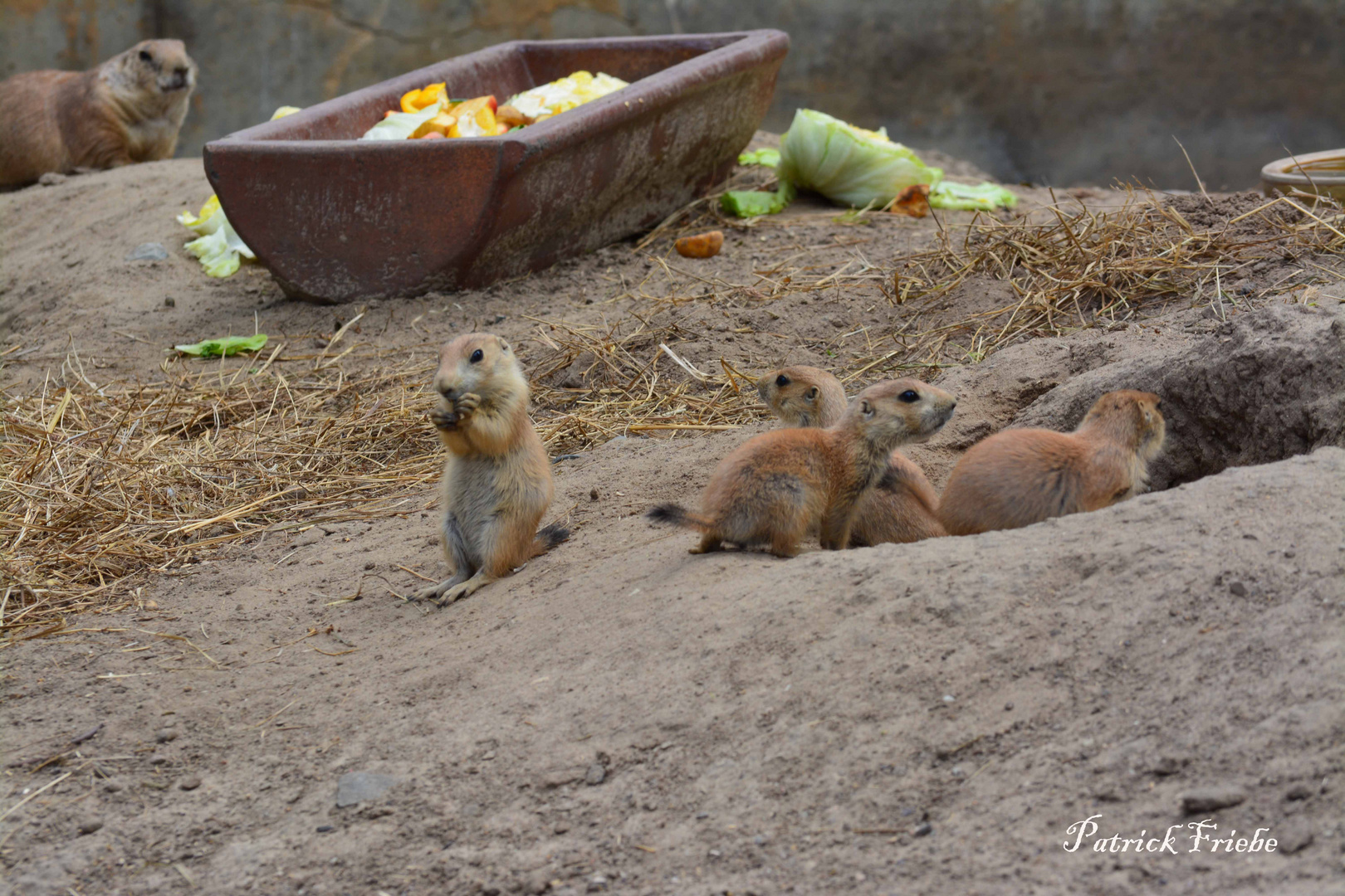 Tierpark Berlin