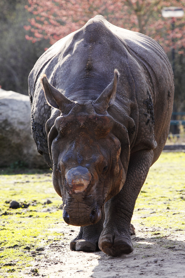 Tierpark Berlin 6