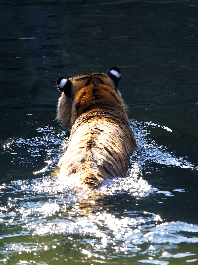 Tierpark Berlin 7