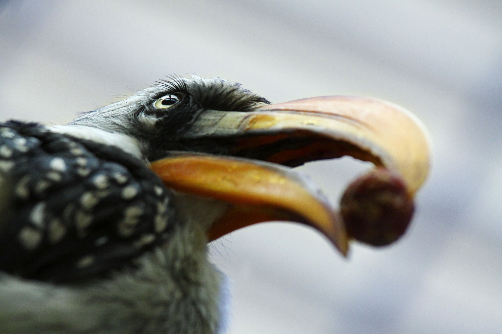 Tierpark Berlin