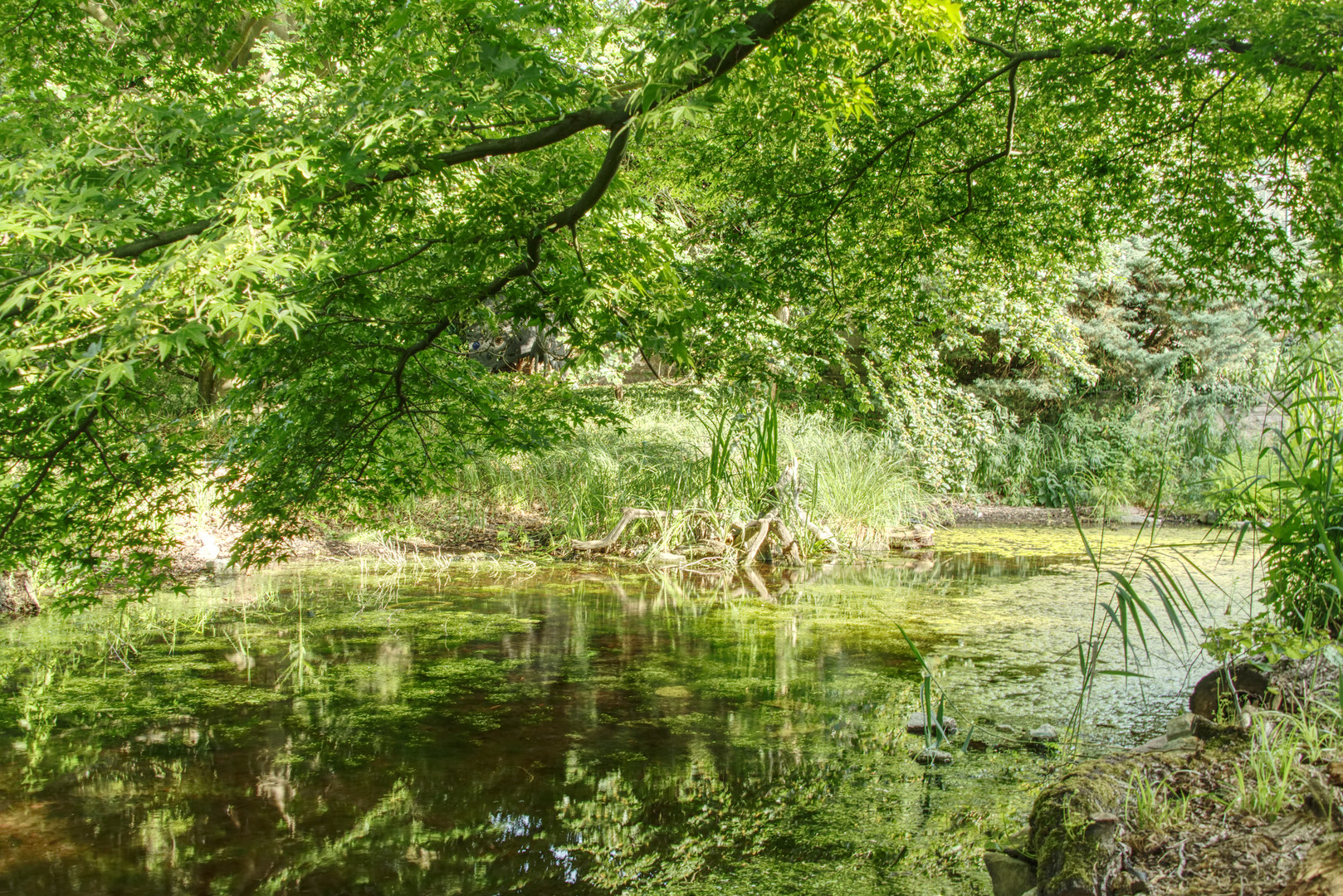 Tierpark Berlin