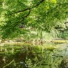 Tierpark Berlin