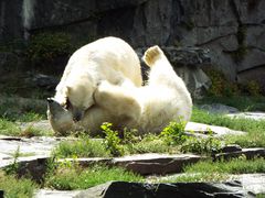 Tierpark Berlin