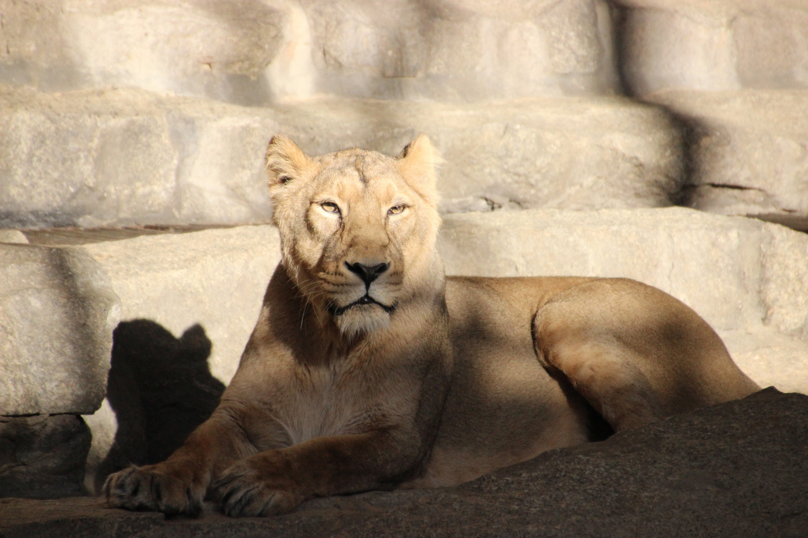 Tierpark Berlin