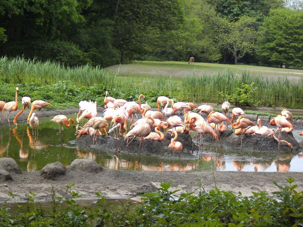 tierpark berlin