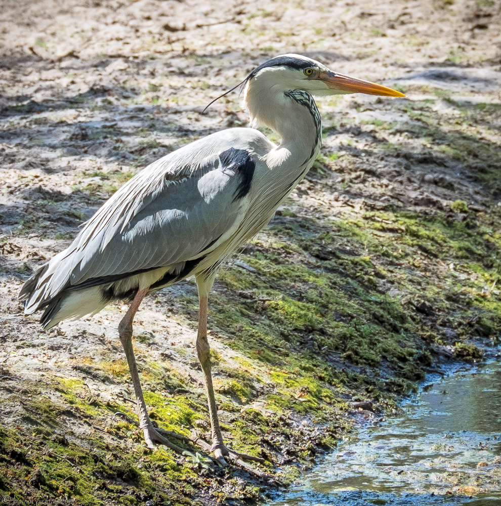 Tierpark Berlin