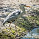 Tierpark Berlin