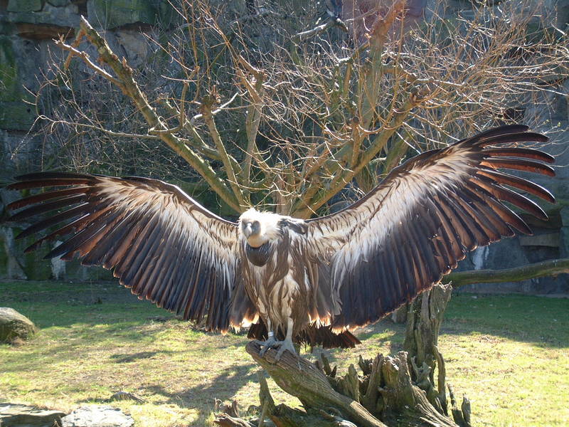 Tierpark Berlin