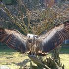 Tierpark Berlin