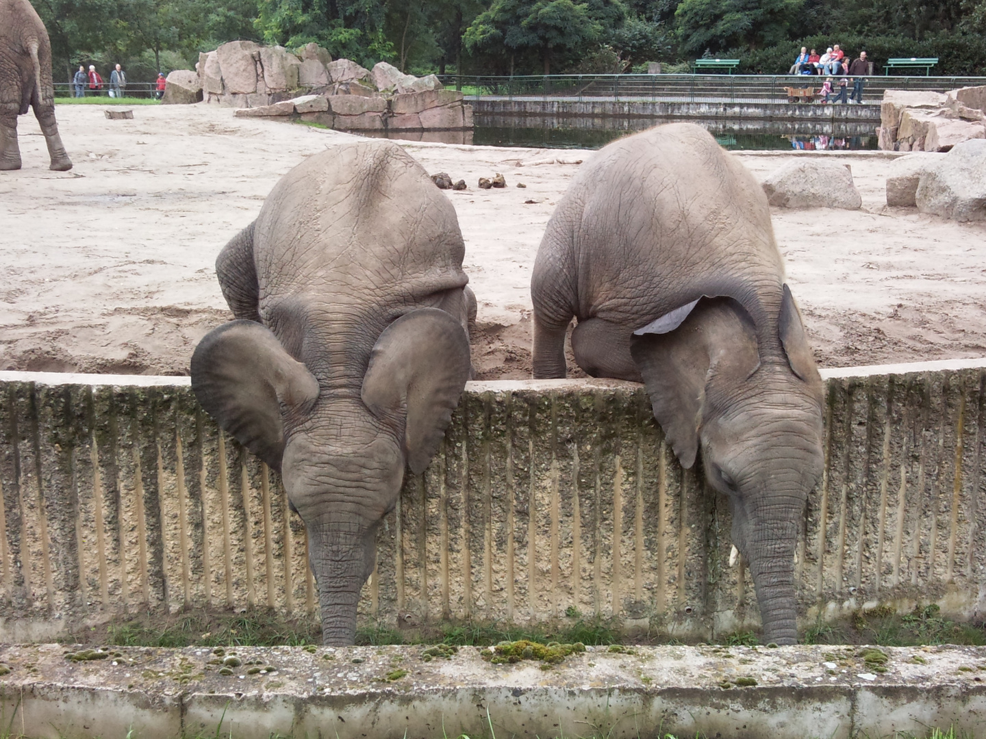 Tierpark Berlin