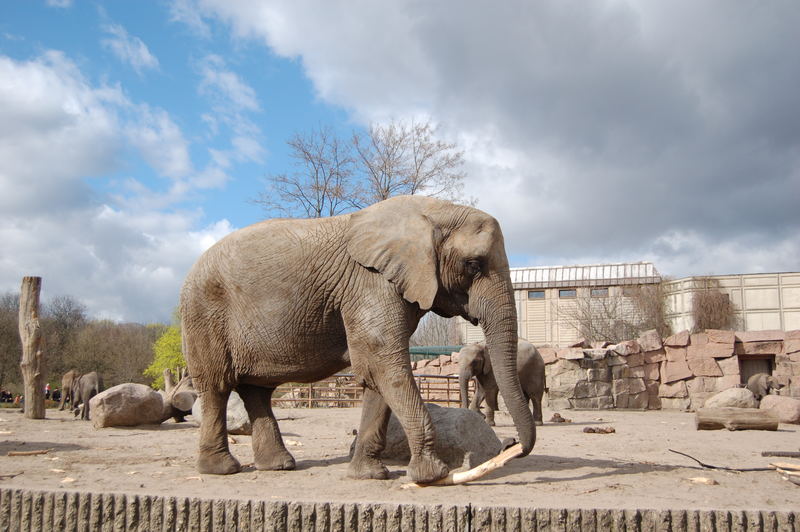 Tierpark Berlin