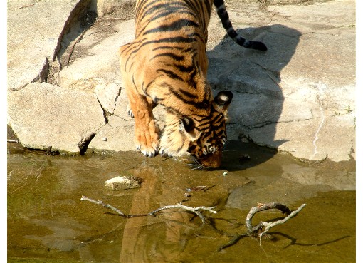 Tierpark Berlin Friedrichsfelde