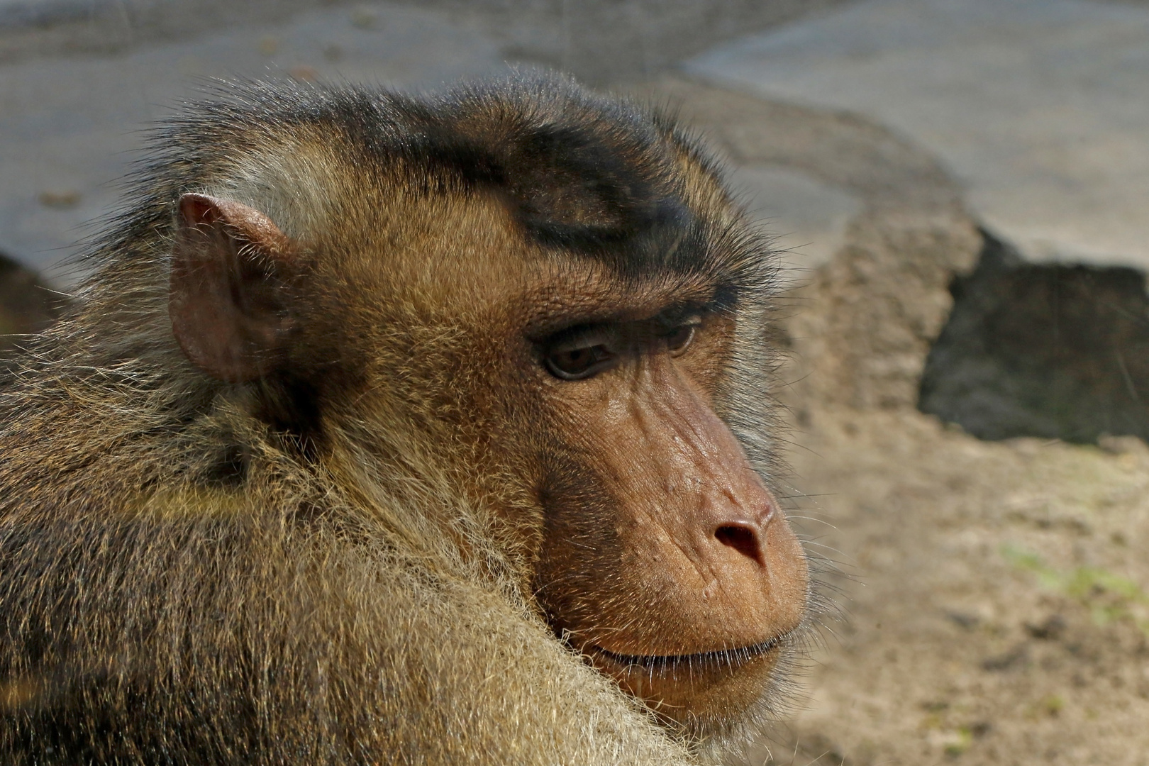 Tierpark Berlin Sepember 2015