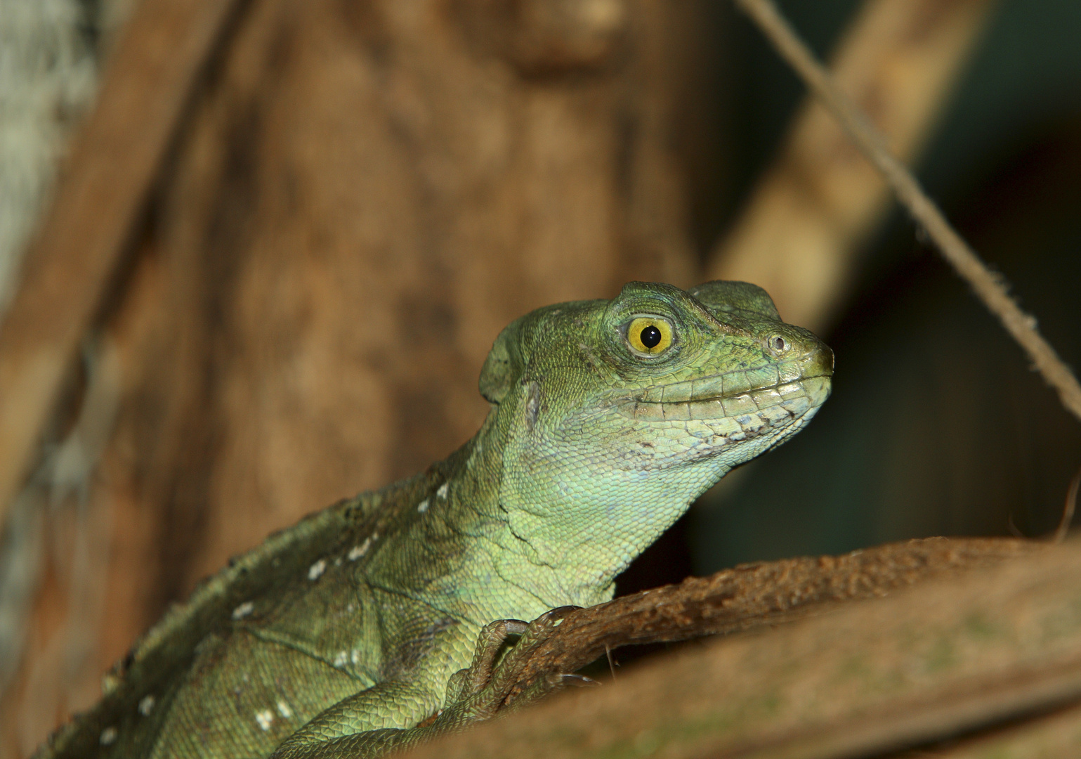 Tierpark Bernburg