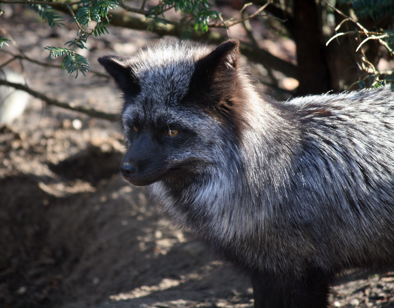 Tierpark Bielefeld