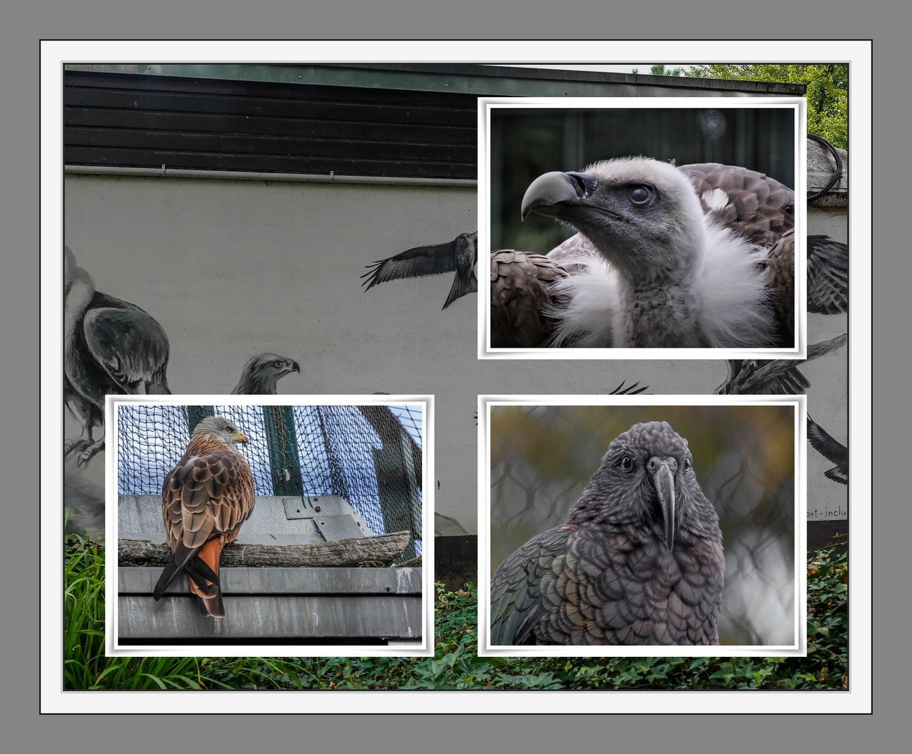 Tierpark Bochum (2)