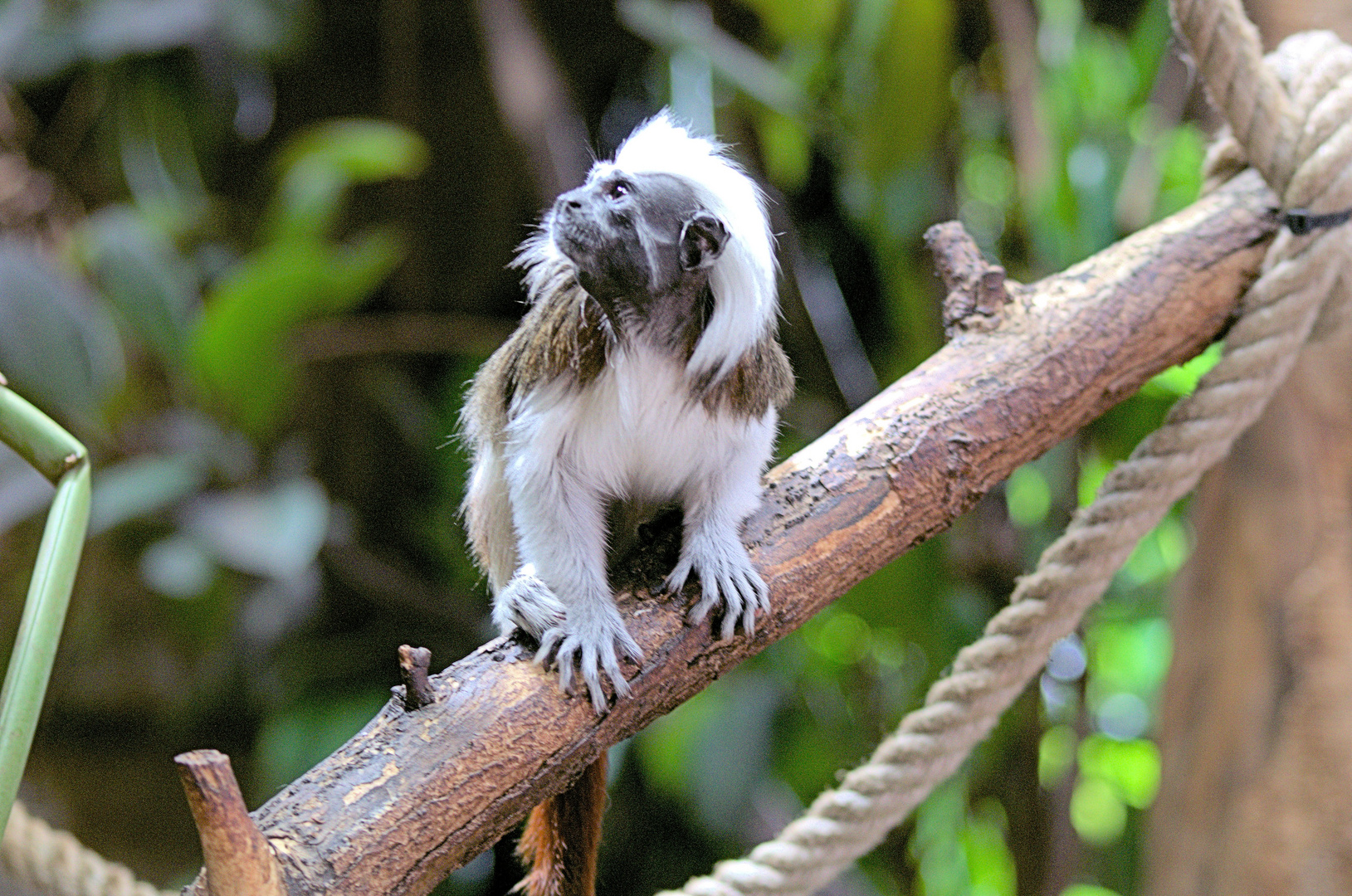 Tierpark Bochum_1