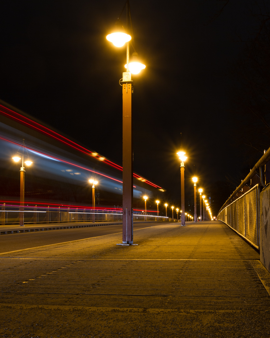 Tierpark-Brücke bei Nacht 1