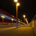 Tierpark-Brücke bei Nacht 1