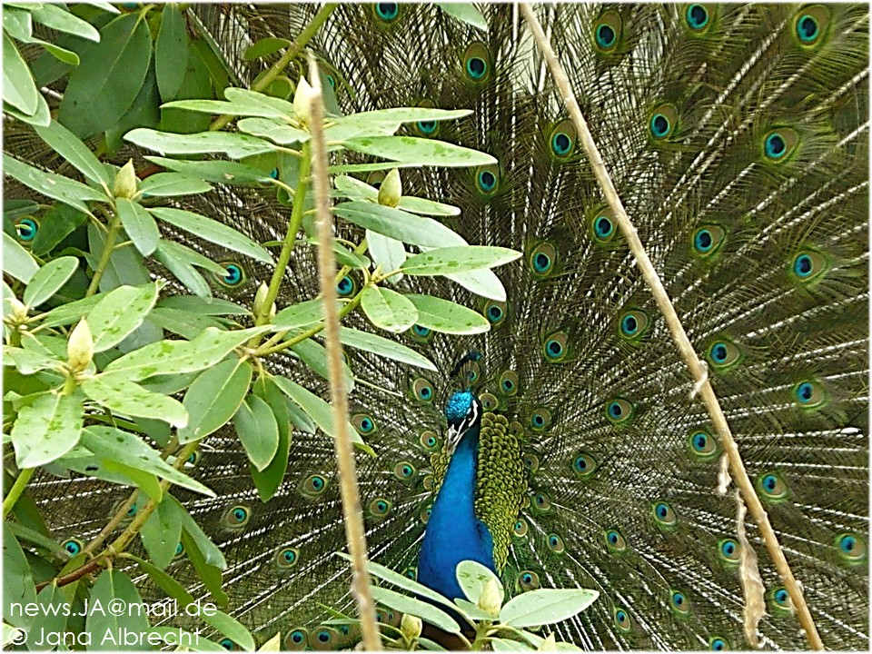 Tierpark Chemnitz