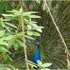 Tierpark Chemnitz