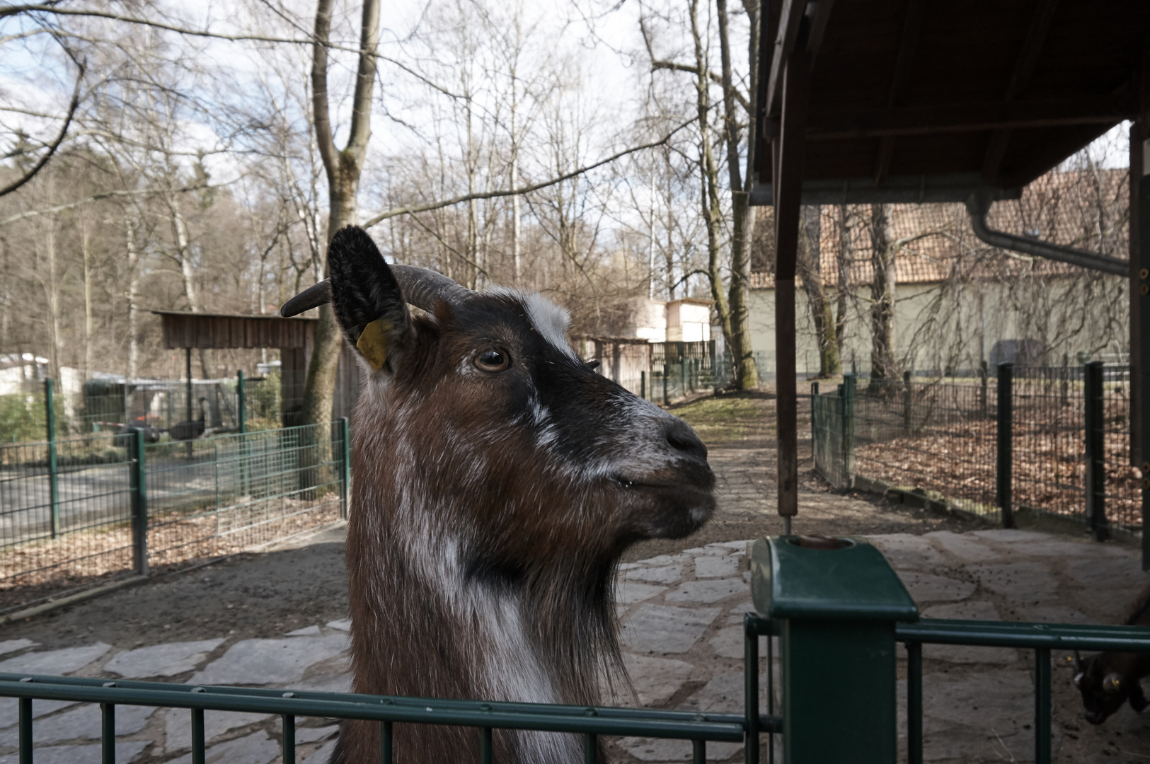 Tierpark Chemnitz