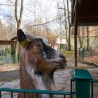 Tierpark Chemnitz