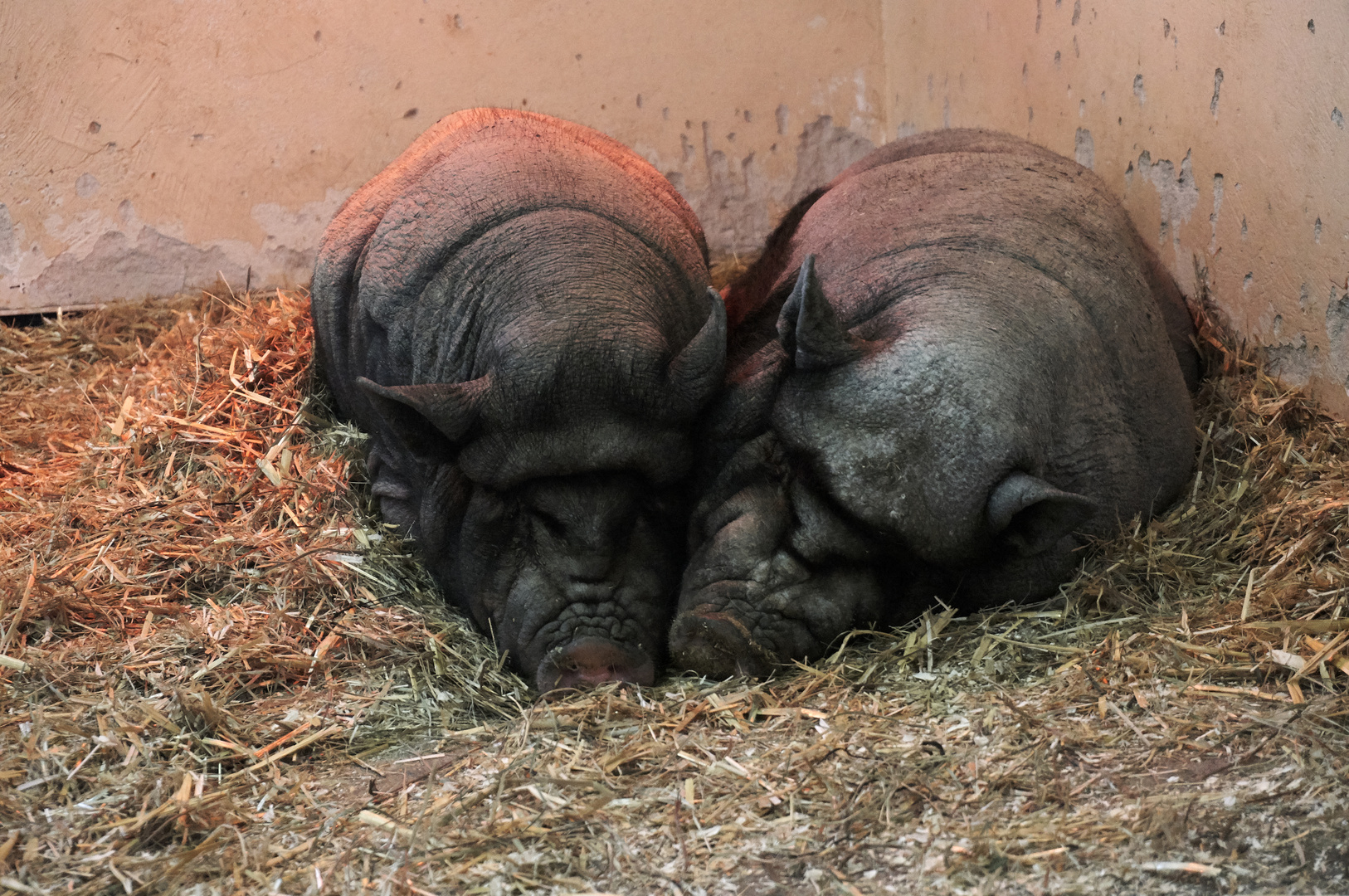 Tierpark Chemnitz