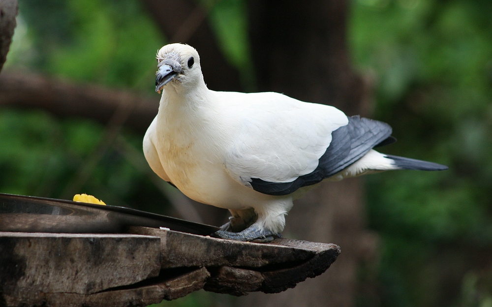 Tierpark Chemnitz