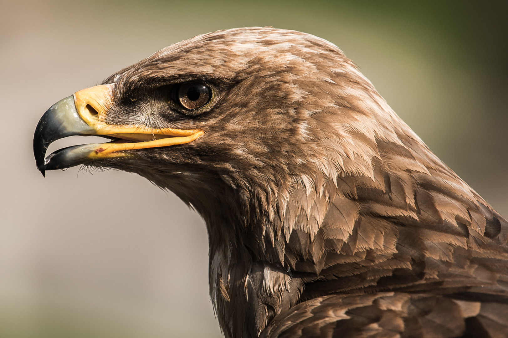 Tierpark Cleebronn