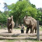 Tierpark Cottbus: Begrüßung der Besucher