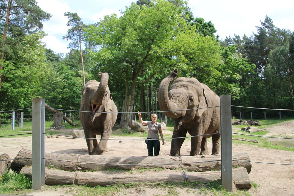 Tierpark Cottbus Begrüßung der Besucher Foto & Bild tiere, zoo