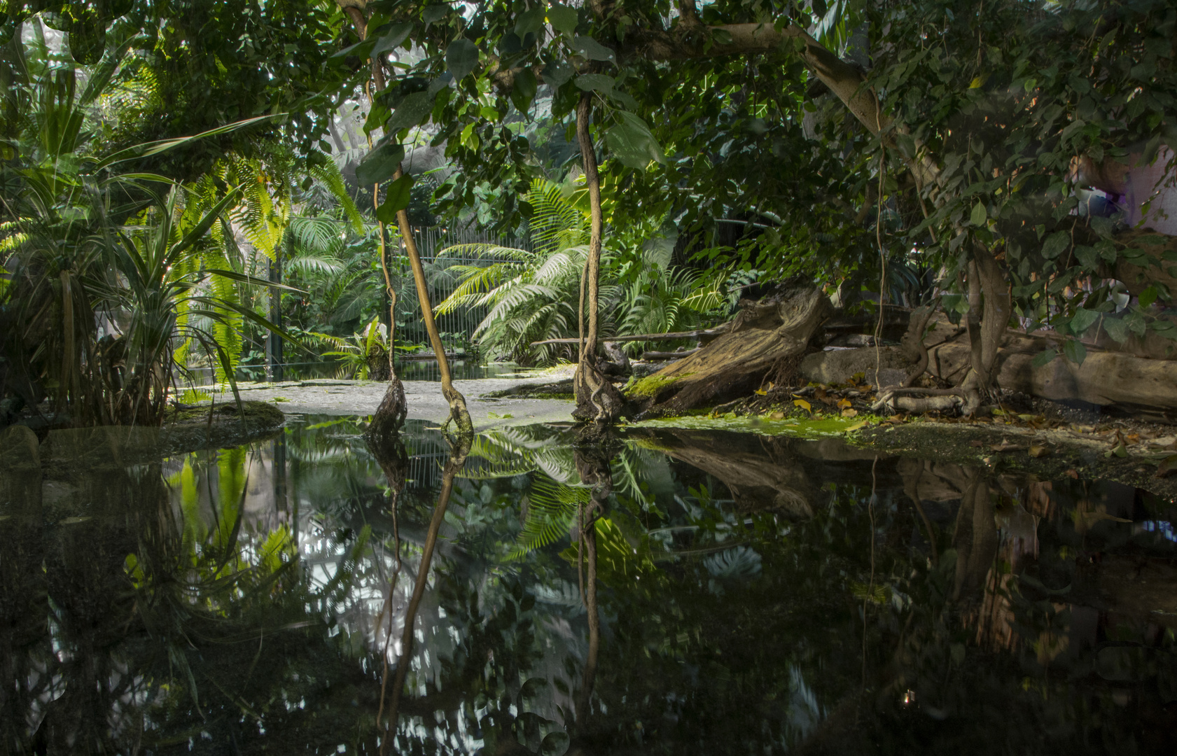 Tierpark Dählhölzli Bern