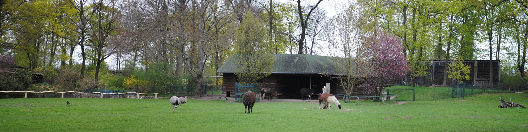 Tierpark Dessau