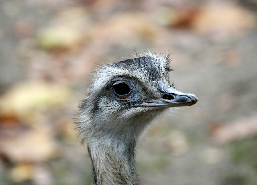 Tierpark Dortmund