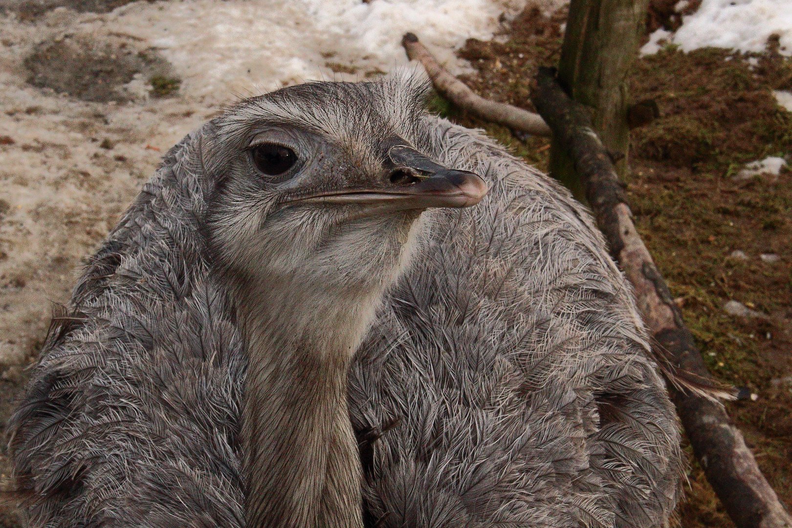 Tierpark Eckenhagen