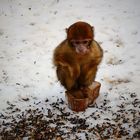 Tierpark Eckenhagen