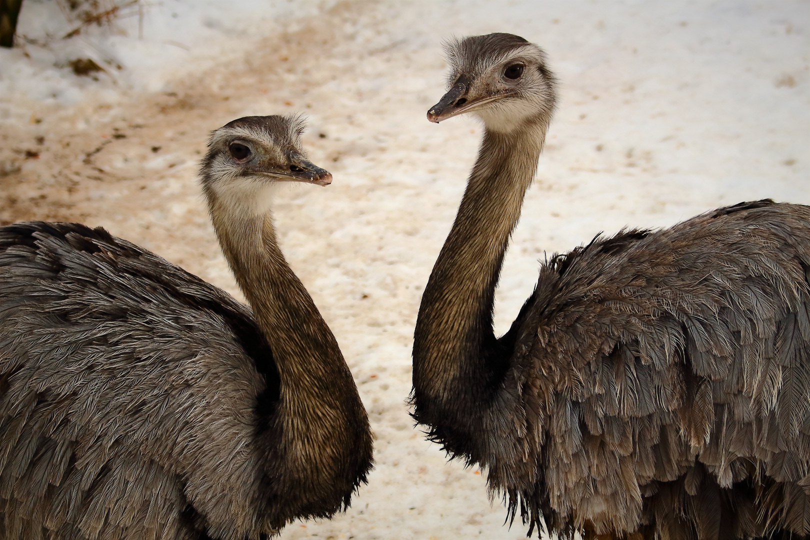 Tierpark Eckenhagen