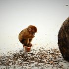 Tierpark Eckenhagen