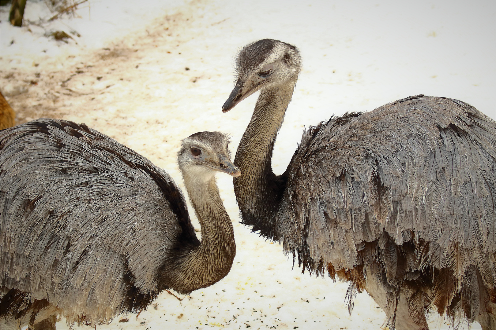 Tierpark Eckenhagen