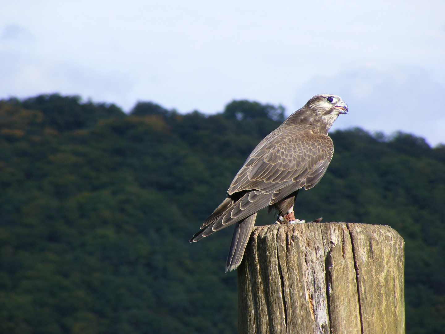 Tierpark Edersee